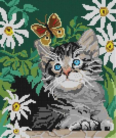 Kitten & Butterfly