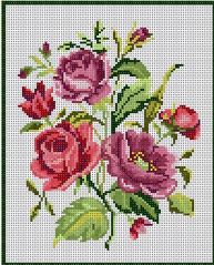 Roses