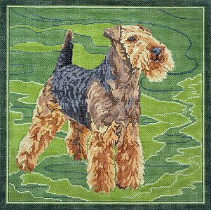 Welsh Terrier