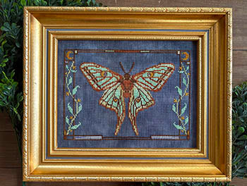 Spanish Moon Moth (Petal Pusher)