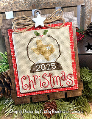 Texas Snow Globe (Crafty Bluebonnet Designs)