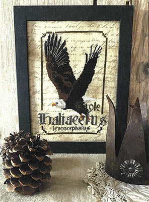 Eagle - Spirits Of The Woods