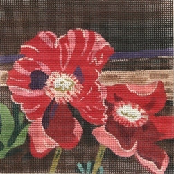Poppies at Windowsill