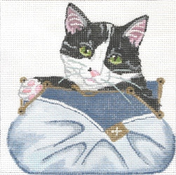 Black/White Kitten in Blue Clutch