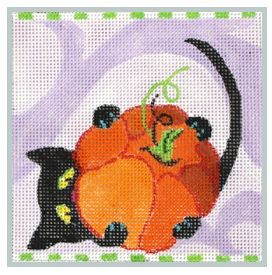 Black Cat Plays with Pumpkin