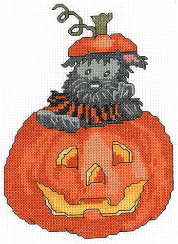 Scottie Pumpkin (Imaginating)