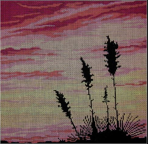 Yucca Sunset
