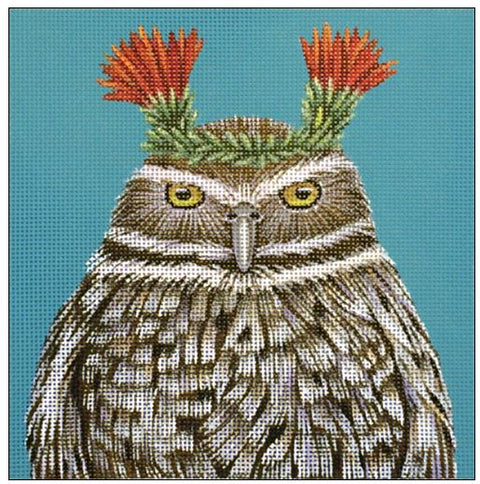 Paco - Burrowing Owl
