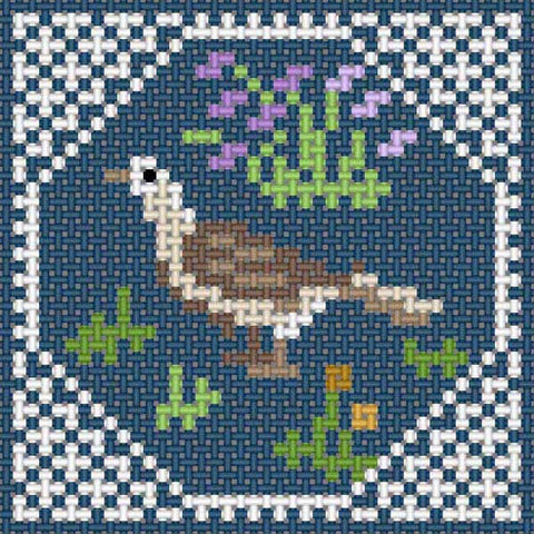 Dove