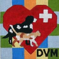 DVM