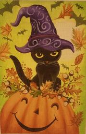 Pumpkin Kitty