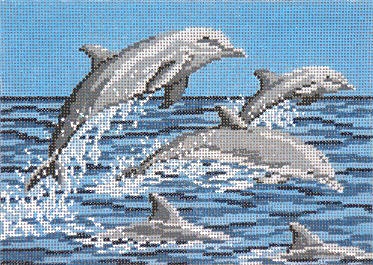 Frolicking Dolphins - 13ct