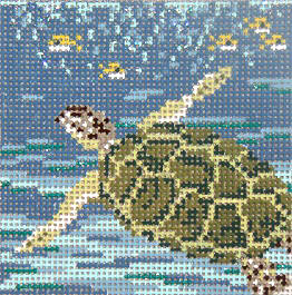 Sea Turtle Square