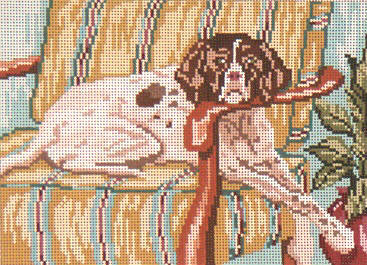 English Pointer - 18ct