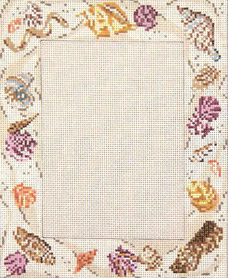 Sanibel Shells Frame