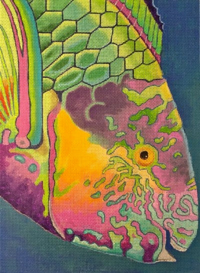 Surf Parrotfish