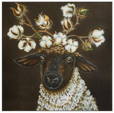 Cotton and Wool