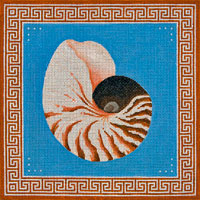 Nautilus Shell With Oriental Border