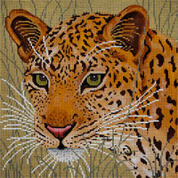 Leopard In Grasses