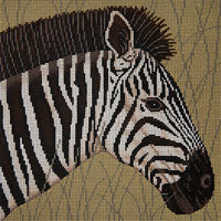 Zebra In Grasses
