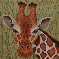Giraffe In Grasses