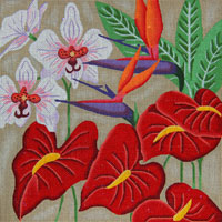 Tropical Flowers