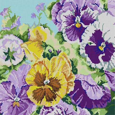 Pansies