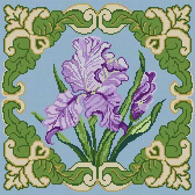Iris With Border