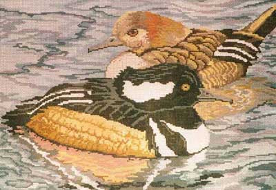 Hooded Mergansers