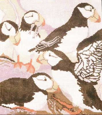 Glacier Bay Puffin