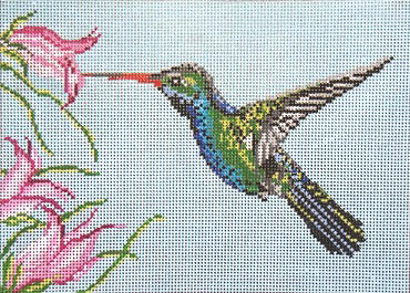 Broad Billed Hummingbird - 13ct