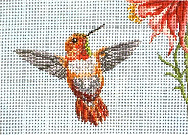 Rufous Hummingbird - 18ct