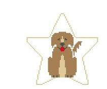 Golden Retriever Star