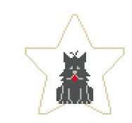 Scottie Star