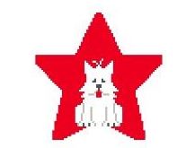 Westie Star
