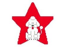 White Poodle Star