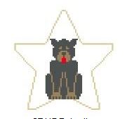 Rotweiler Star