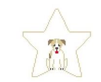 Jack Russell Star