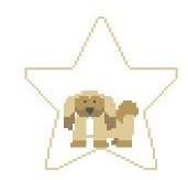 Pekinese Star