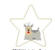 Yorkshire Terrier Star