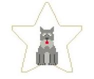 Schnauzer Star