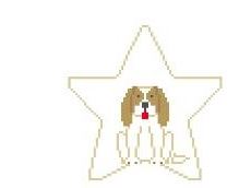 King Charles Spaniel Blenheim Star