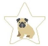 Pug Star