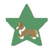 Tan Corgi Star