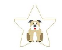 Tan Bulldog Star