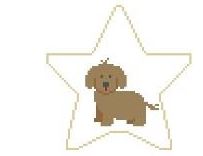 Havenese Star