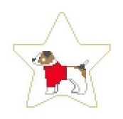 Jack Russell Star