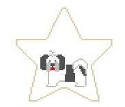 Shih Tzu Star