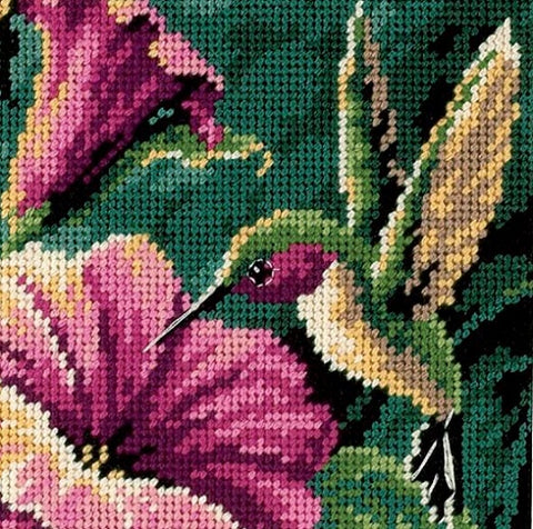 Hummingbird Drama