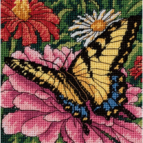 Butterfly on Zinnia